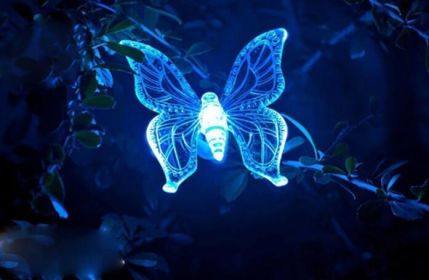 Led Solar Garden Light, Changing Color In The Water Impermeable Outer Dragonfly Butterfly  Bird Road To Garden Solar Led Lawn Lamp Decoration (Option: Butterfly)