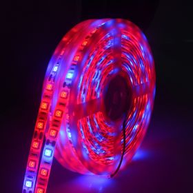 5050Led plant growth soft light bar 5M (Option: 5Red 1Blue-Epoxy)